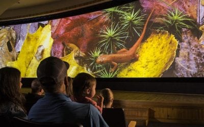 The Wild Center Goes Digital with Educational Online Offerings