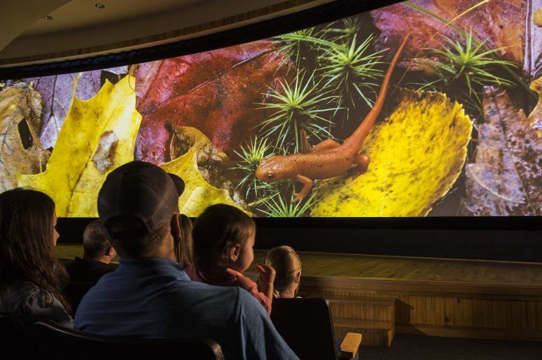 The Wild Center Goes Digital with Educational Online Offerings