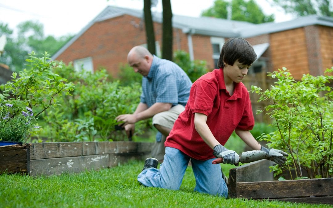 Now is the time to start a veggie garden from seeds; here’s how