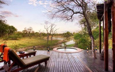 Djuma Private Game Reserve Livestream 24/7